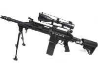 MILSIG M17 DMR